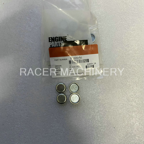 3900956 Plug