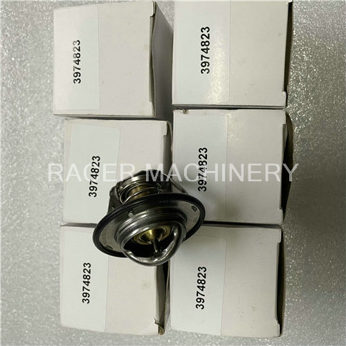 3974823 Thermostat