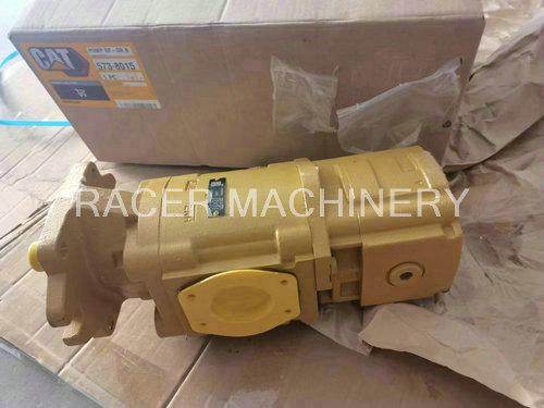 Gear Pump 573-8015