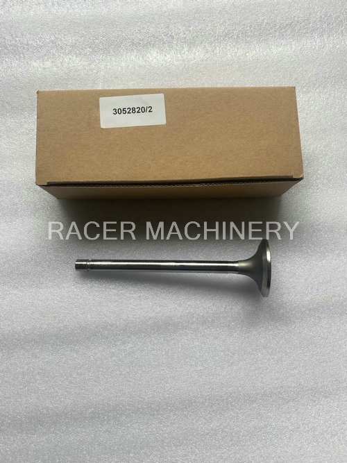 Intake Valve 3052820