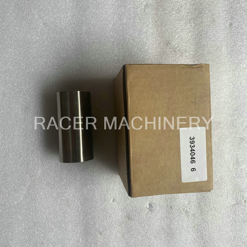 Piston Pin 3934046