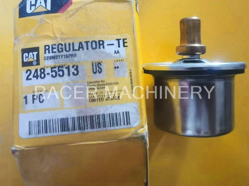 Regulator 248-5513
