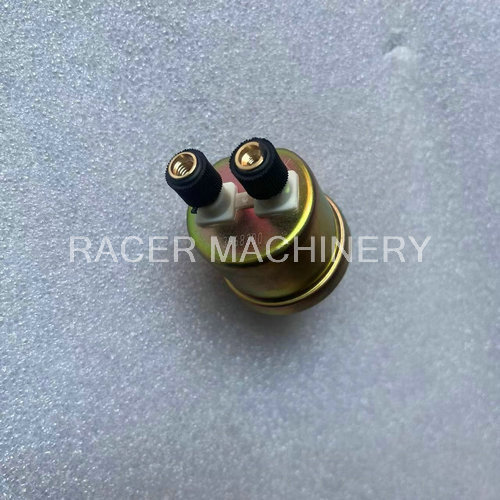 Sensor 3968300