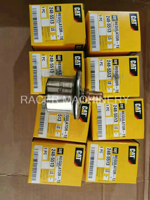 Thermostat 248-5513