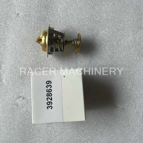 Thermostat 3928639