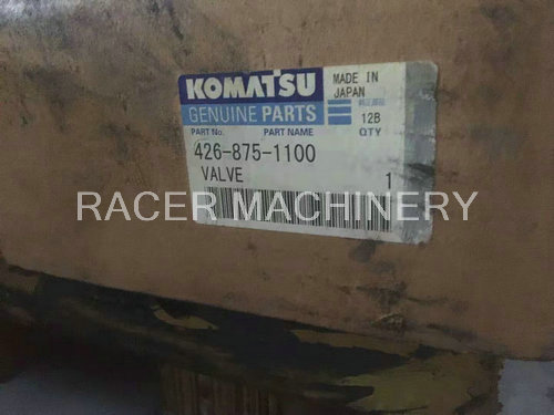 Valve 426-875-1100